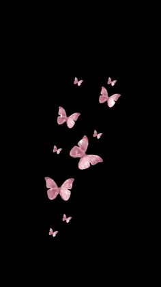 several pink butterflies flying in the dark