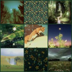 many different pictures are shown together in this collage, including stars and flowers on the ground