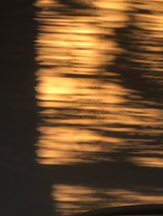 a bird is standing on the roof of a car as the sun sets in the background