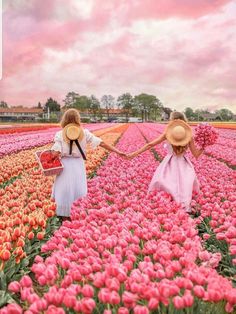 two girls are walking through a field of tulips