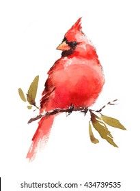 a watercolor painting of a cardinal sitting on a branch