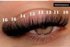 Eyelash Tips, Perfect Eyelashes, Pretty Lashes, Lash Room, Fake Eyelashes, Natural Essential Oils, Beauty Essentials, Lash Extensions