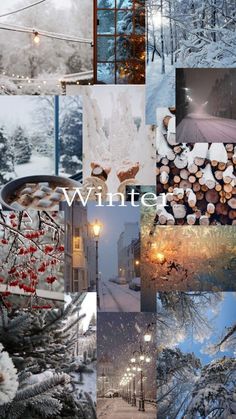 a collage of winter scenes with trees and lights