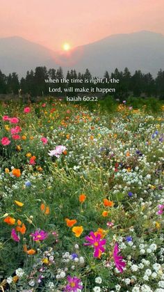 a field full of flowers with the sun setting in the background and bible verse on it