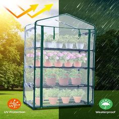 an image of a greenhouse with plants growing in it and the text, grow your own garden