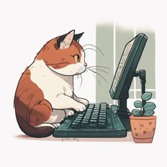 an orange and white cat sitting on top of a computer keyboard next to a potted plant