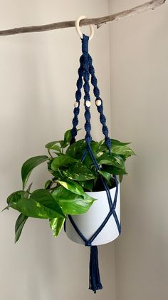 a potted plant hanging from a rope with blue beads and tassels on it