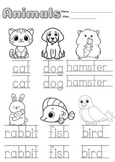 the worksheet for letter d is for animals and letters to be colored in