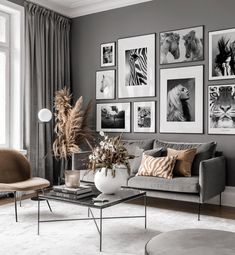 a living room with gray walls and pictures on the wall above it's couch