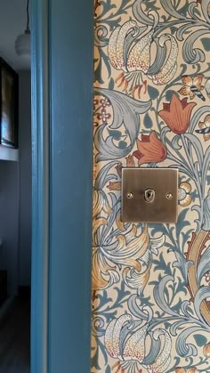 a light switch on the wall in front of a blue door with an ornate pattern