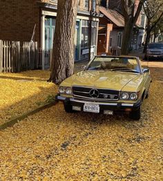 a yellow car parked on the side of a road next to a tree with leaves all over it