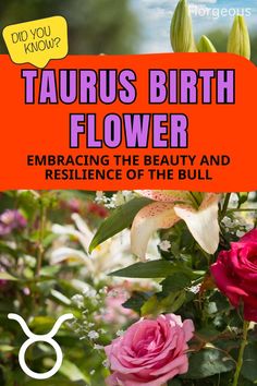 Taurus Birth Flower Taurus Birth Flower, Helictotrichon Sempervirens, Taurus Traits, Taurus Sign, The Bull, Birth Flower, Do You Know What