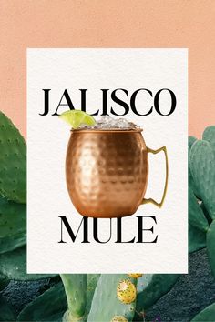 Curamia Tequila Jalisco Mule Mule, Like You, Finding Yourself