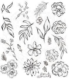 some flowers and leaves are drawn in black ink