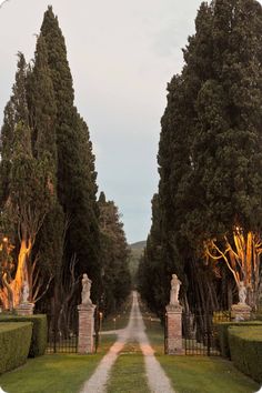 an image of a road that is lined with trees and statues in the middle of it