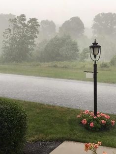 a lamp post with flowers in the foreground on a foggy, rainy day