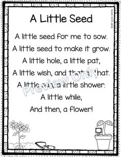 a little seed worksheet