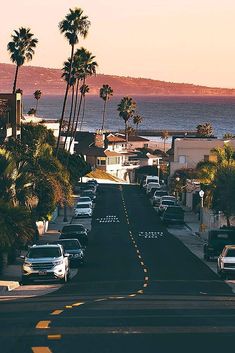 cars parked on the side of a road next to palm trees and ocean in the background