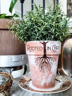 a potted plant sitting on top of a saucer next to a plate with the words rooted in christ written on it