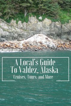 the cover of a local's guide to valalez alaska cruises, tours and more