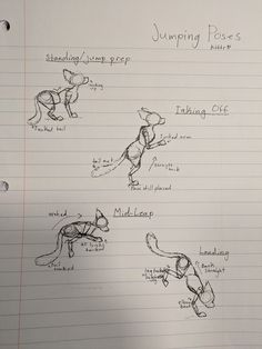 a hand drawn diagram of various poses of a cat on lined paper with pencils