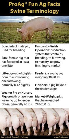 a poster with instructions on how to use the farm animals for their livestocking needs