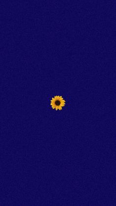 a single sunflower in the middle of a dark blue sky with only one flower visible