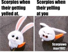 two pictures of the same stuffed animal with caption that says scorpionos when their getting yelling at you