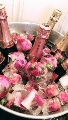 pink roses in ice cubes with champagne bottles