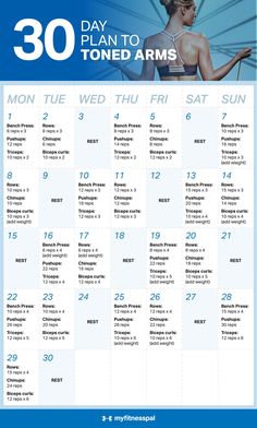 the 30 day plan to tone arms calendar