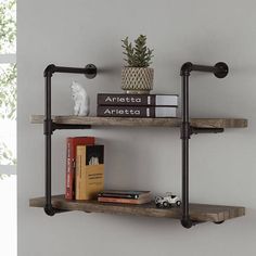 two shelves with books and plants on them