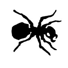 a black and white silhouette of a spider