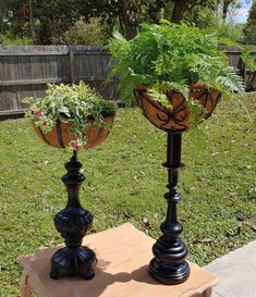 two black vases with plants in them on top of a wooden table next to a fence