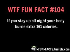 More of WTF fun facts , here What The Fact, Funny Pins, Fun Fact, Best Memes, Mind Blown