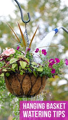 hanging basket with flowers and water sprinkles