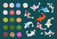 an assortment of koi fish in various colors and sizes