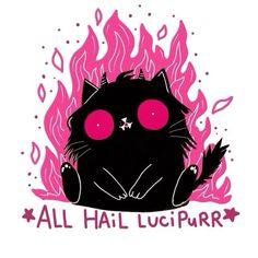 a black cat with pink eyes sitting on top of a fire filled background that says all hail luipparr