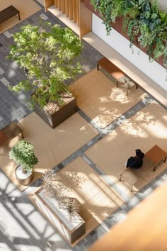 an overhead view of a courtyard with benches and trees in the center, surrounded by plants