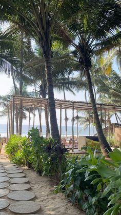 there is a path that leads to the beach and palm trees in front of it