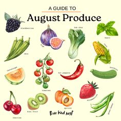 an illustrated guide to august produce