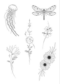 four different types of flowers and dragonflies on a white background, one is drawn with black ink