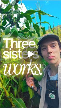 a man standing in front of a bush with the words three sisters works on it