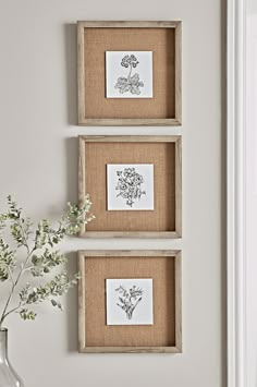 three framed pictures hang on the wall next to a vase with white flowers in it