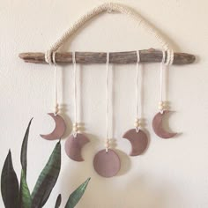 a wooden stick with some beads hanging from it's side next to a potted plant