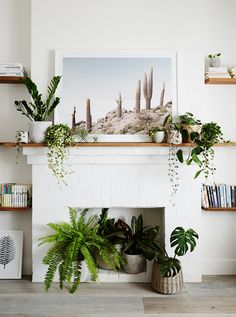 a living room filled with lots of plants and books on top of a white fireplace