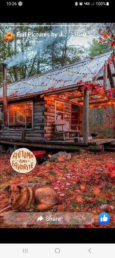 an image of a log cabin with autumn leaves on the ground and a dog laying in front of it