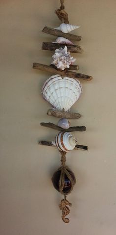 a bunch of seashells are hanging on the wall