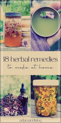 Herb Remedies, Medicinal Herbs Remedies, Medicine Recipes, Tinctures Recipes, Diy Herbal Remedies, Medicinal Herbs Garden, Salve Recipes