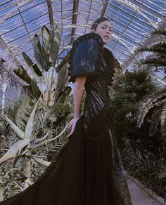 a woman in a black dress is standing under a glass roof with plants and palm trees behind her