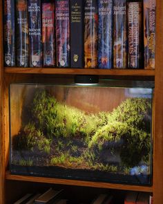 a book shelf filled with books next to a fish tank full of plants and moss